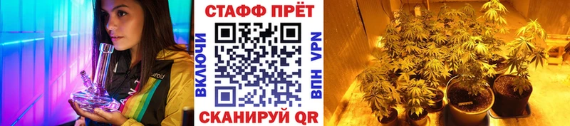 Продажа наркотиков Фурманов ГАШ Псилоцибиновые грибы Меф Кетамин omg маркетплейс КОКАИН Амфетамин APVP Каннабис