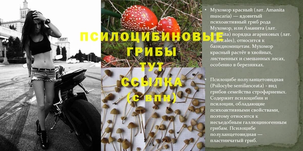 ешки Беломорск